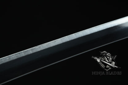 Roronoa Zoro's Wado Ichimonji Katana
